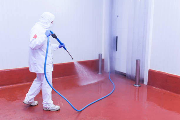 Best Patio and Deck Pressure Washing  in Burnt Store Marina, FL